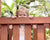 Outdoor Activities For Kids: How to Build a Backyard They'll Love