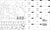 Blueprint Build Workbench