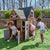 Timberwood Playhouse