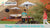 Octagon Table, Stools & Umbrella Set - Bear Brown & Beige
