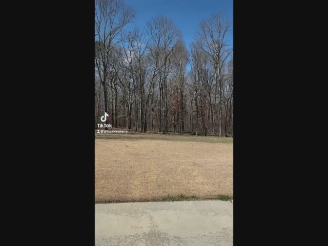 Adventure Bend Swing Set - Installation Available