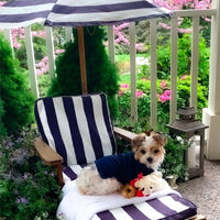 Outdoor Chaise with Umbrella - Navy