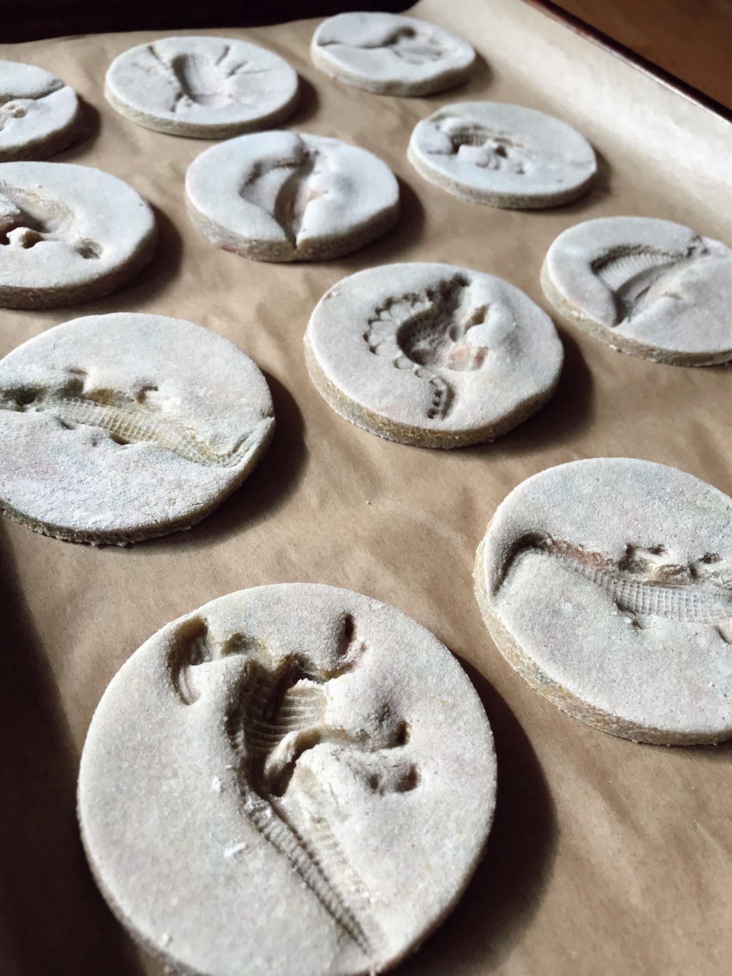 salt dough fossils